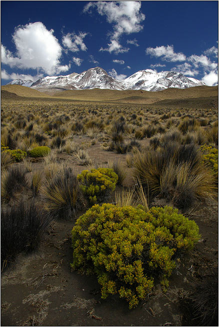 Nevado Chachani