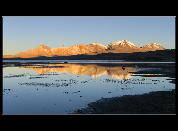 Lauca P.N.