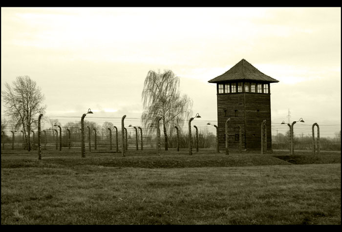 Birkenau...