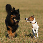 Ta dnešní mládež je tak drzá...