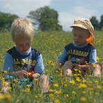 Letní louka, hledám brouka