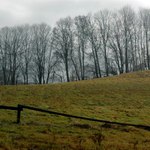 Něco stoupá, něco padá