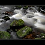 Mechové polštářky