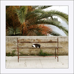 Obrázky z Korčuly II