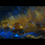 Kam chodí kapky spát...