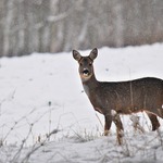 ...Tak nám začla zima...