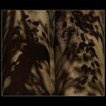 Smutky starých buků..