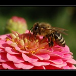 Bylo léto, byly prázdniny...