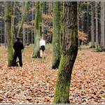 Musíme tam všichni