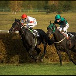 Červený nebo zelený???