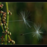 Už letíííííím....