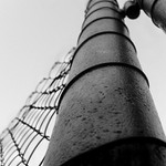 Jako kůl v plotě...