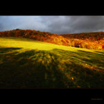 Ráno dlhých tieňov