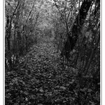 Way Out Of Misantropolis