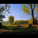 Cestička na vinohrad