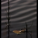 Odplouvající podzim