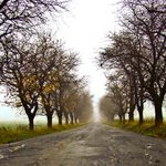 všechny cesty vedou domů