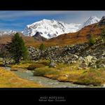 Monte Rosa