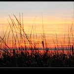 Podzim na Lake Huron