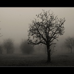 Dušičková depkárna :-)