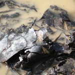 z kaluzee a do blataa:)