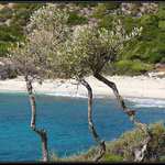 Řecká zátiší -tři přání