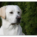 No uz se blizime pomalu i k ostrosti :-)