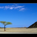 "SAMOTÁŘ" v poušti