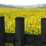 Zákaz vstupu do ráje...