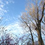 vychod slnka trochu inak