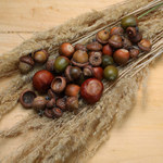 podzimní