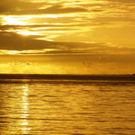 Pohodovy podvecer...