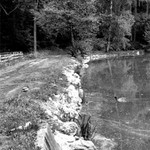 A láska začala ...