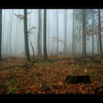 mlha stokrát jinak 031