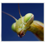 VIEČKA MÁŠ  ŤAŽKÉ...