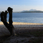 Máchovo jezero