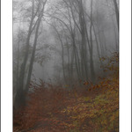 Podzimní melancholie