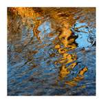 podzimní malování II.