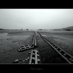 ... Petrův rybník II ...