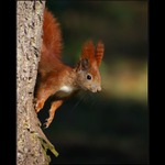 Zrzek,těšííí mě!