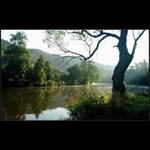 letní, tiché ráno...