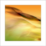 ...svetlo v tráve...