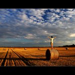 S nadějí k světlým zítřkům