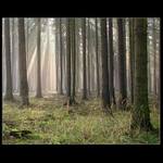 Copak se tam asi bude dít ?