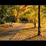 Když ještě svítilo sluníčko