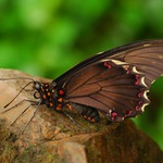 sedím si na kameni a je mi dobre