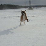 Giuseppe 2