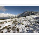 *** Pocukrovaná ***