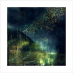 *** Tichá jitra ***