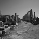 The witnesses of time - V